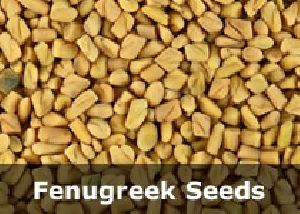 Organic Fenugreek Seeds