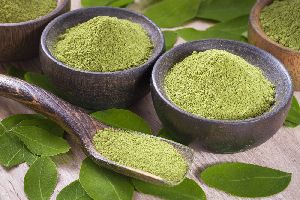 moringa powder