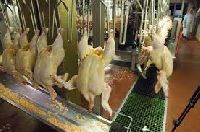 poultry processing plants