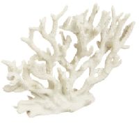 Coral Calcium Powder