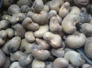 dried raw cashew nuts in shell