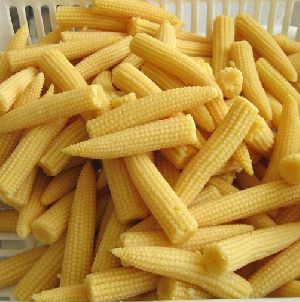 Iqf Baby Corn