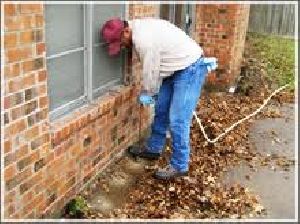 Termite Treatment Services in DLF City Phase 2 Gurugram