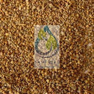 Apium Graveolens Seed Extract