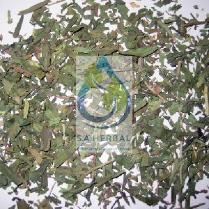 Artemisia Dracunculus Extract