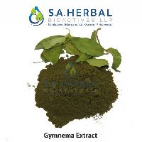 Gymnema Sylvestre Extract
