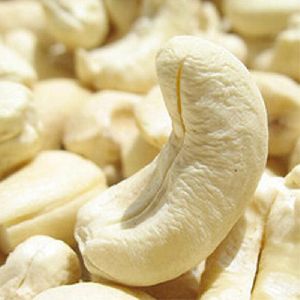 Dried Cashew Nuts best price fresh w240 cashew nuts