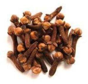 Nutmegs Steam Sterilised