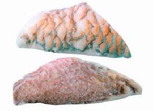 Frozen Parrot Fish Fillet Skin