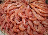 Frozen Shrimps HOSOHLSO