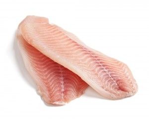 Frozen Talapia Fillets