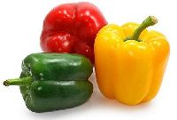 Color Capsicum