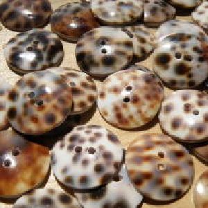 Leopard Print Shell Buttons