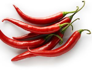 Fresh Red Chilli