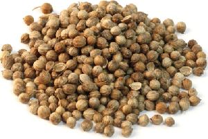 coriander seeds