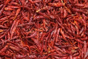 Fresh Dried Chili