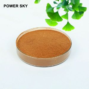 Natural Ginkgo Biloba Leaf Natural Ginkgo Biloba Leaf