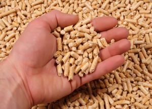 Wood Pellets,  Quality : Superior