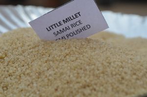 Little millet semipolished (samai)