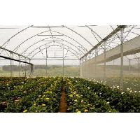 Greenhouse Structure Net