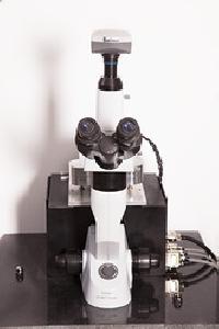 Bio Afm - Atomic Force Microscope
