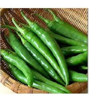 fresh green chilli