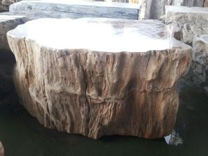 Petrified Wood Tables, Shape : Round for Outdoor, Garden etc.