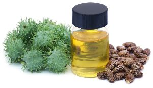 Castor Oil & Seeds