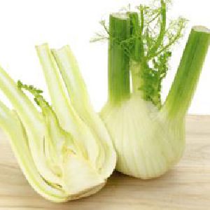 Fennel