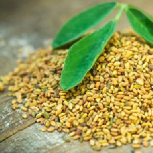 fenugreek