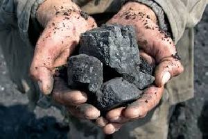 Coal Consultants