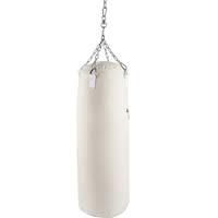 Punching Bag- Canvas