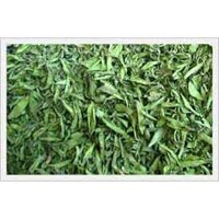 Stevia Dry Leaves