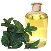 Mentha Oil IP