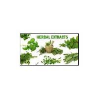 Herbs, Herbal Extracts