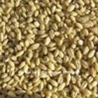 Australian Organic Pearl Barley