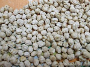 kabuli chickpeas