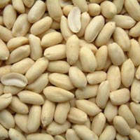 Peanut - Beaded Peanut Kernel