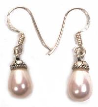 Silver Earrings (Item Code: 6461)