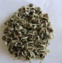 Moringa Oil Extraction Seeds