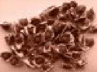 Moringa Oil Extraction Seed