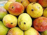 Chausa Mangoes