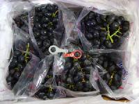 fresh black grapes