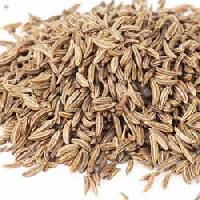 Cumin Seed Oil