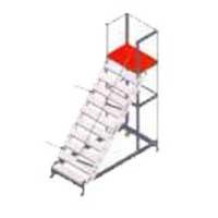 Trolley Step Ladder or Baby Ladder