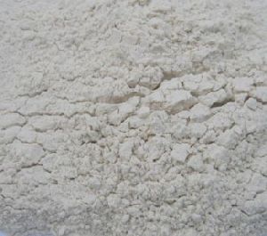 Dehydrated White Onion Powder