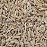 cumin seeds