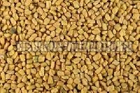 Natural Fenugreek Seeds