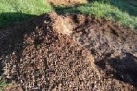 Poultry Manure,poultry Manure