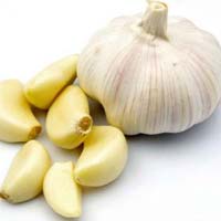 fresh garlic